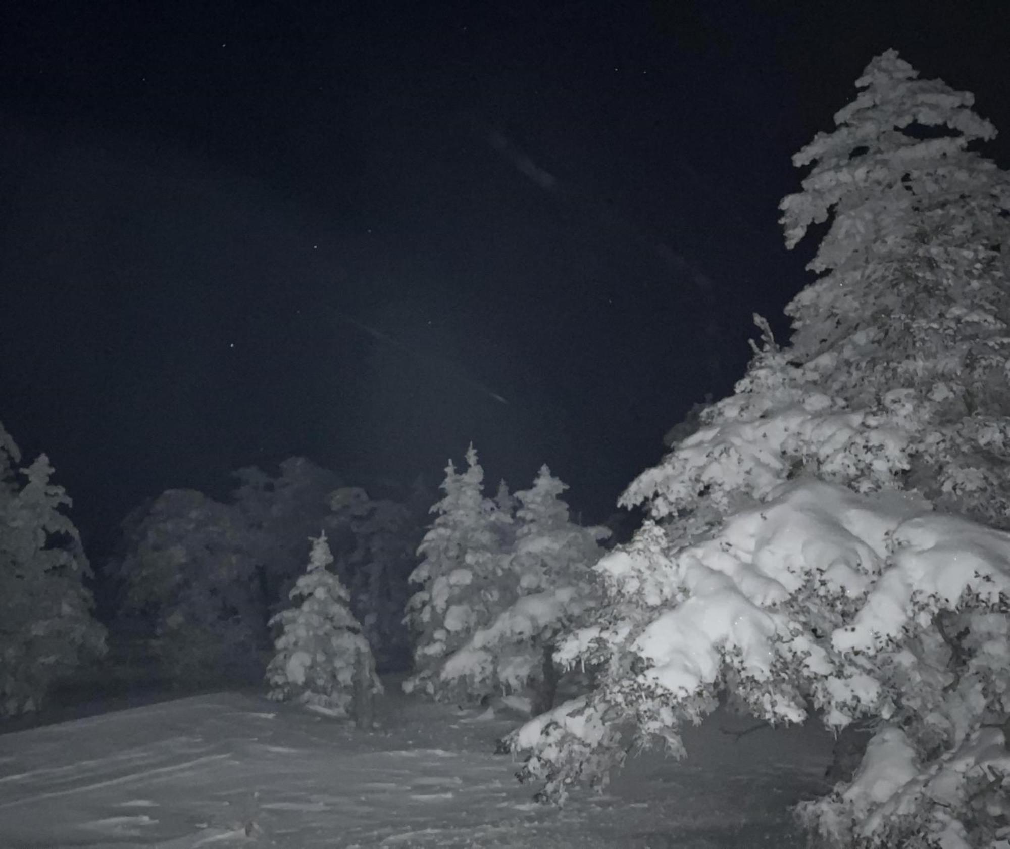 Sachinoyu Hotel Shiga Kogen Yamanouchi  Extérieur photo